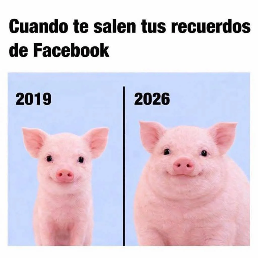 Meme que compara un cerdito delgado en 2019 con un cerdo gordo y feliz en 2026, representando el cambio físico al ver recuerdos de Facebook.