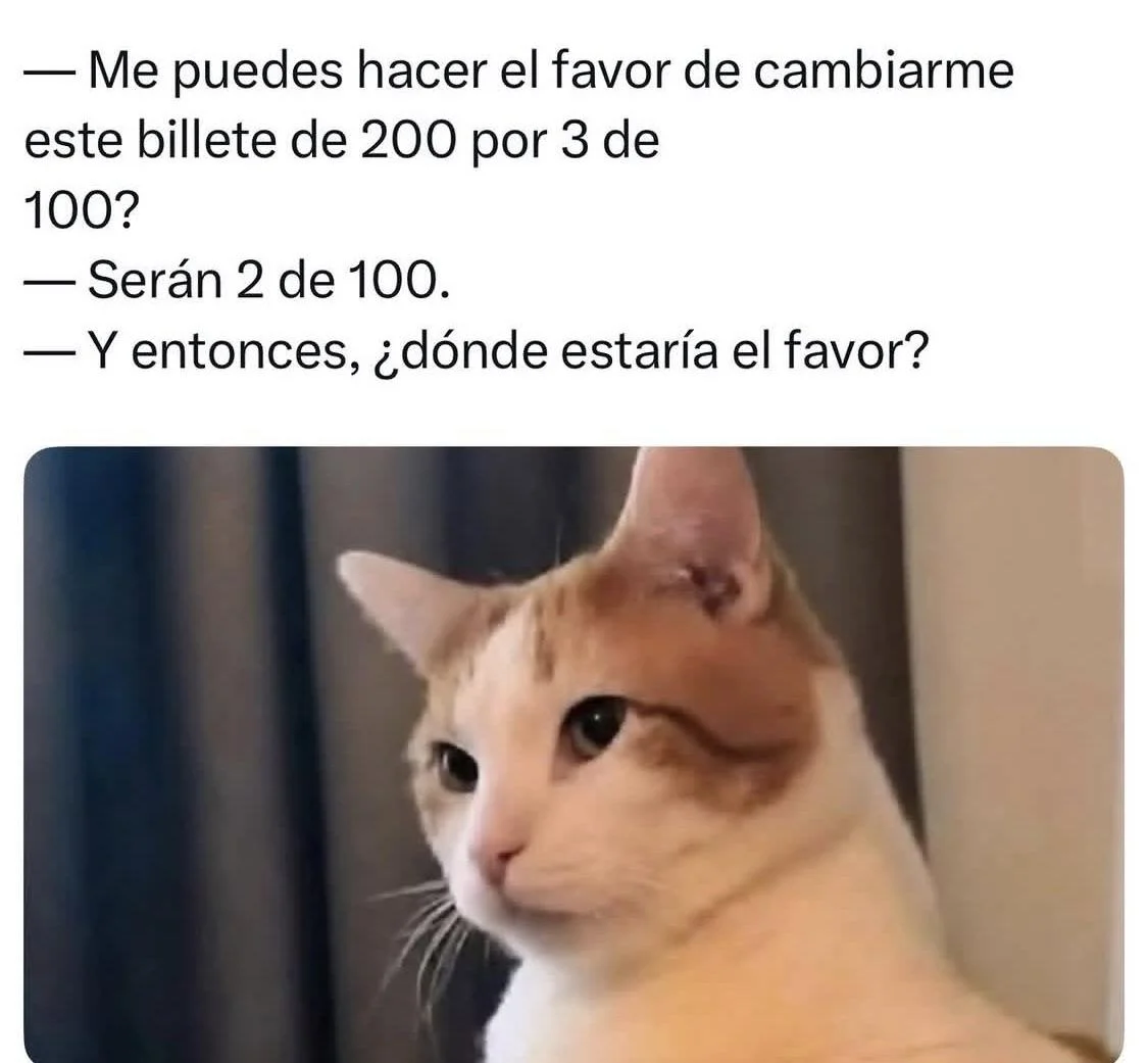 Un meme de texto y un gato blanco con manchas naranjas mirando hacia un lado con expresión confundida, ilustrando una conversación sobre cam