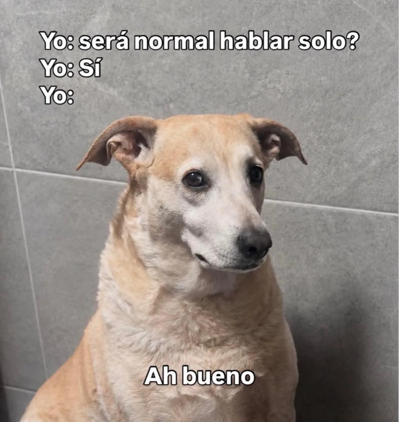 Un perro de color beige con expresión pensativa y la frase 'Ah bueno' en la parte inferior, ilustrando una conversación interna.