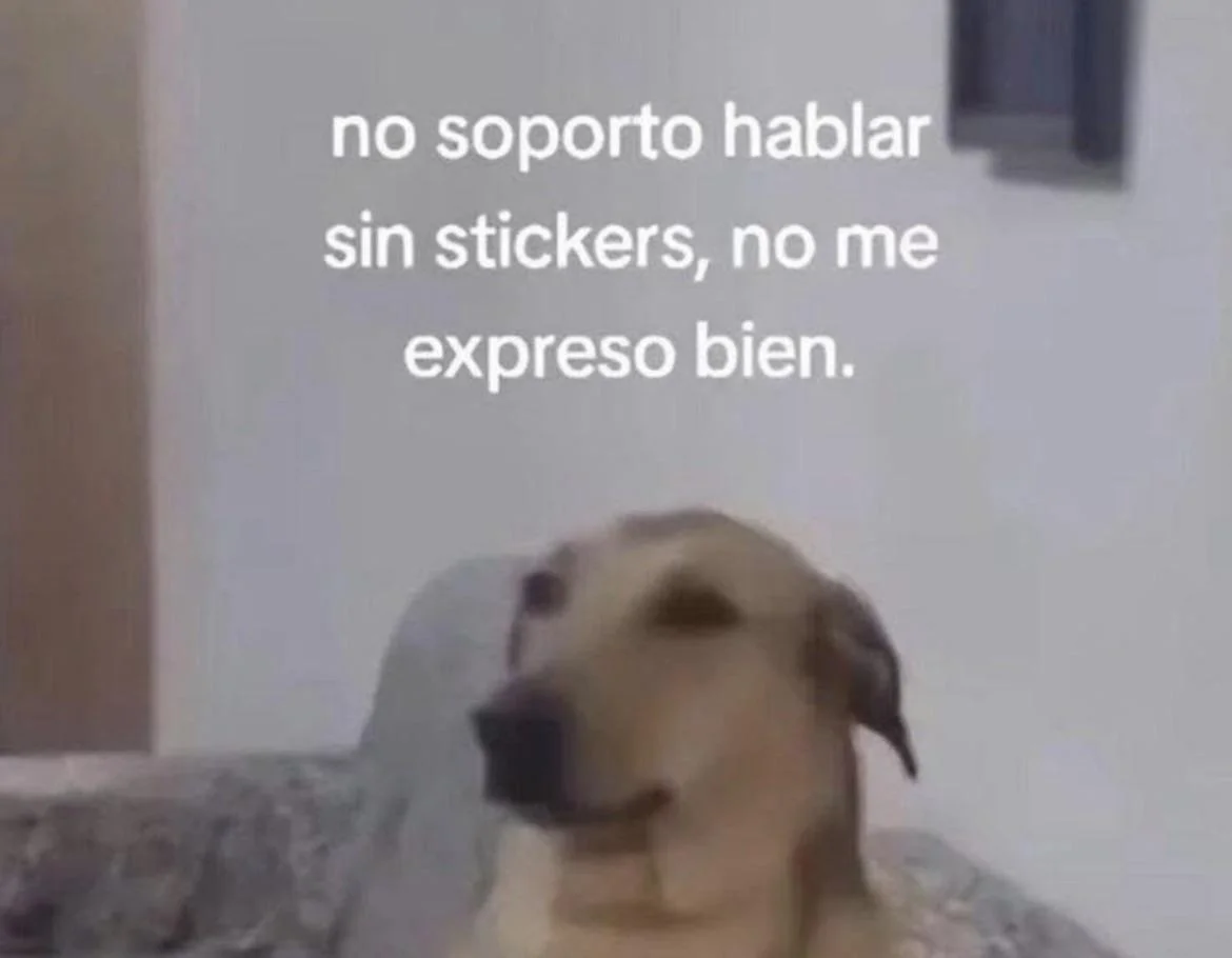 Un perro de color claro con expresión pensativa, acompañado del texto "no soporto hablar sin stickers, no me expreso bien."