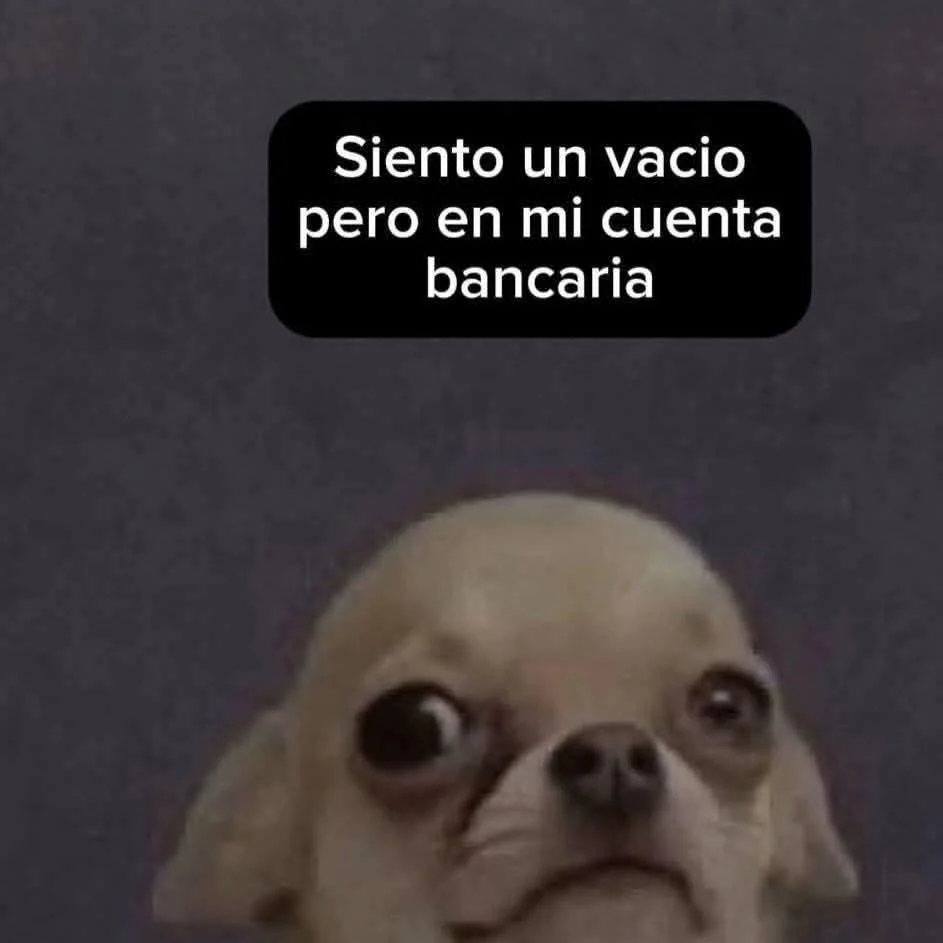 Un meme de un perrito chihuahua con expresión de preocupación y ojos grandes, con un texto que dice: "Siento un vacío pero en mi cuenta banc