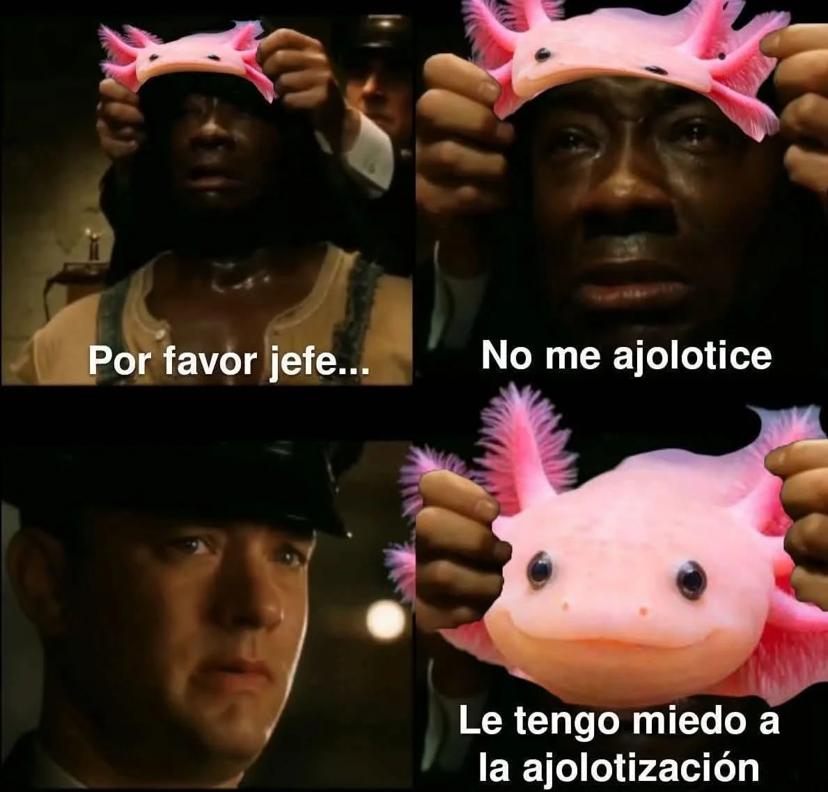 Meme de cuatro paneles basado en la película Milagros Inesperados, donde un hombre es transformado en un ajolote rosa con la frase "No me aj