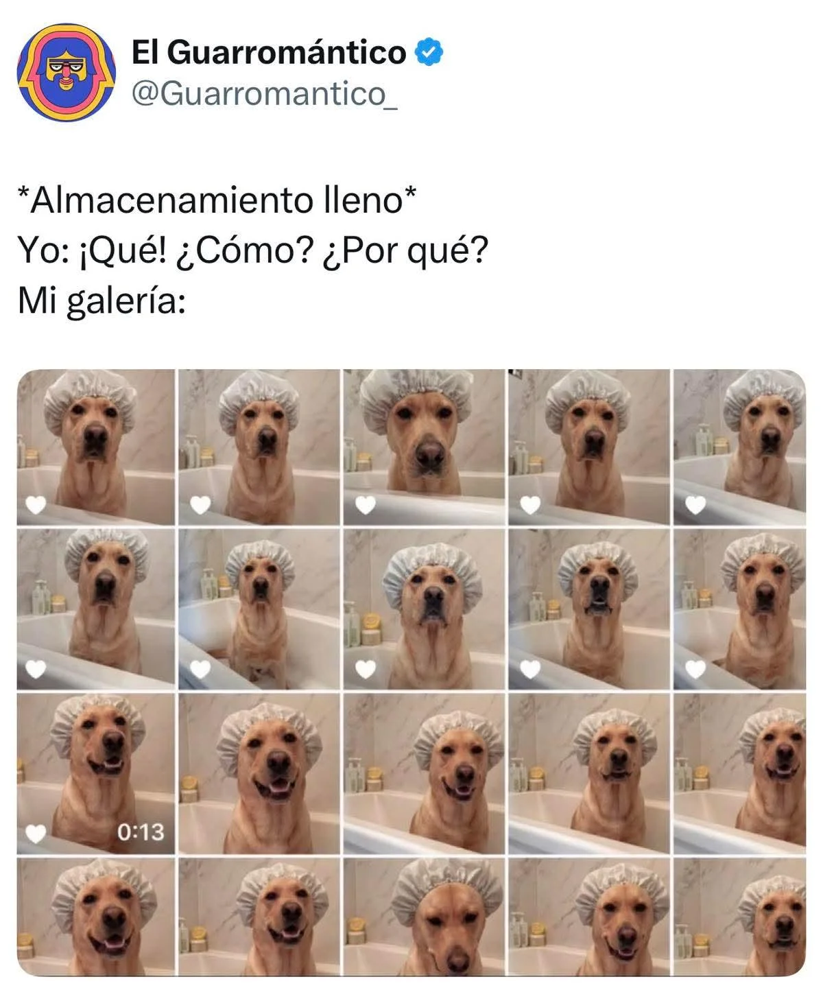 Un meme con texto que dice 'Almacenamiento lleno' y 'Mi galería:' seguido de una cuadrícula de 18 fotos de un perro labrador con gorro de du