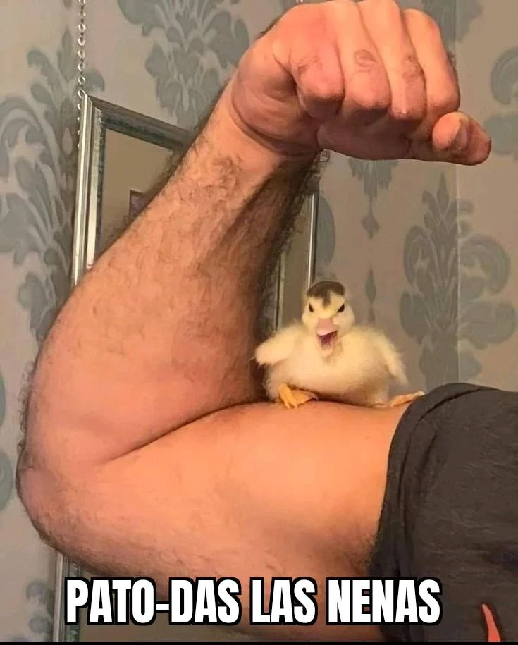 Un patito amarillo con expresión de enfado o fuerza, parado sobre el bíceps flexionado de un brazo humano, con el texto "PATO-DAS LAS NENAS"