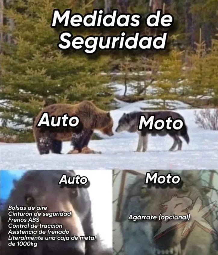 Meme comparando las medidas de seguridad de un auto (oso, muchas características) y una moto (lobo, solo 'Agárrate (opcional)').
