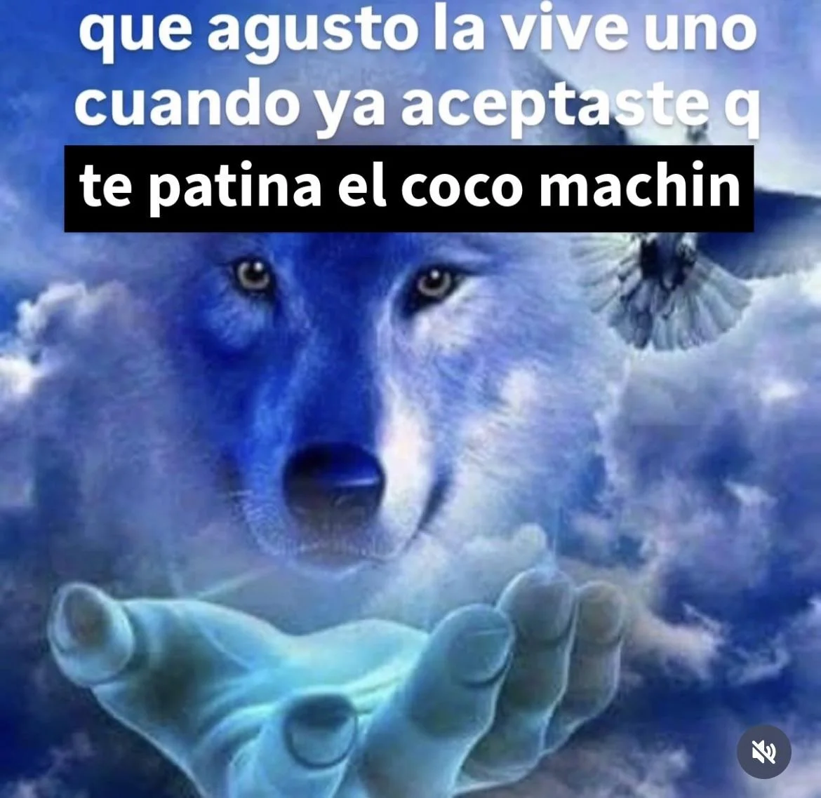 Un meme de un lobo místico azul entre nubes, con una mano brillante abajo y una paloma, y texto que dice: "que agusto la vive uno cuando ya