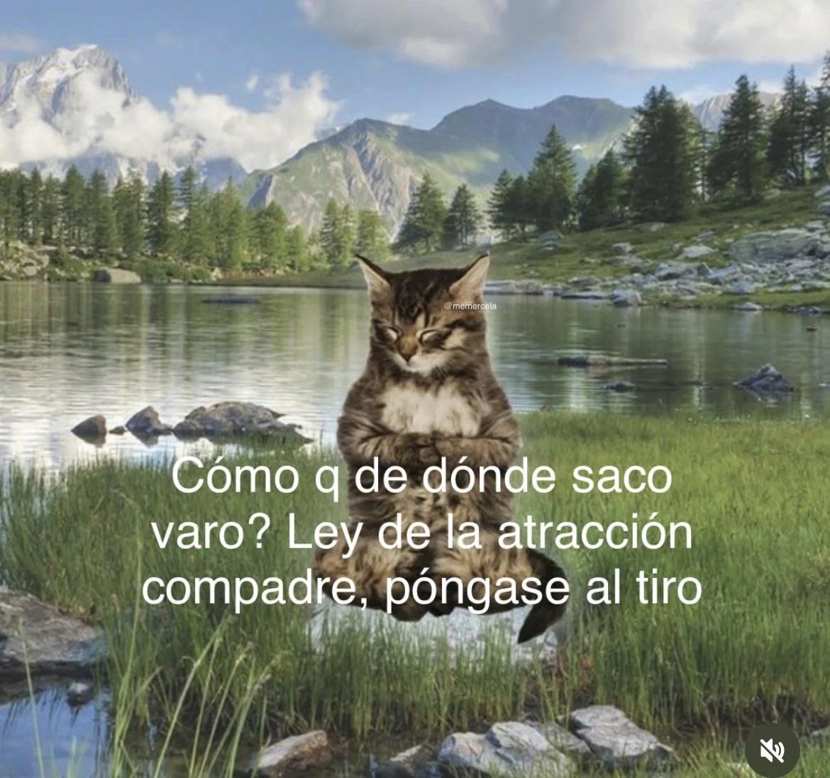 Un gato atigrado con los ojos cerrados y las patas juntas, meditando sobre un fondo de lago y montañas, con texto sobre la ley de la atracci