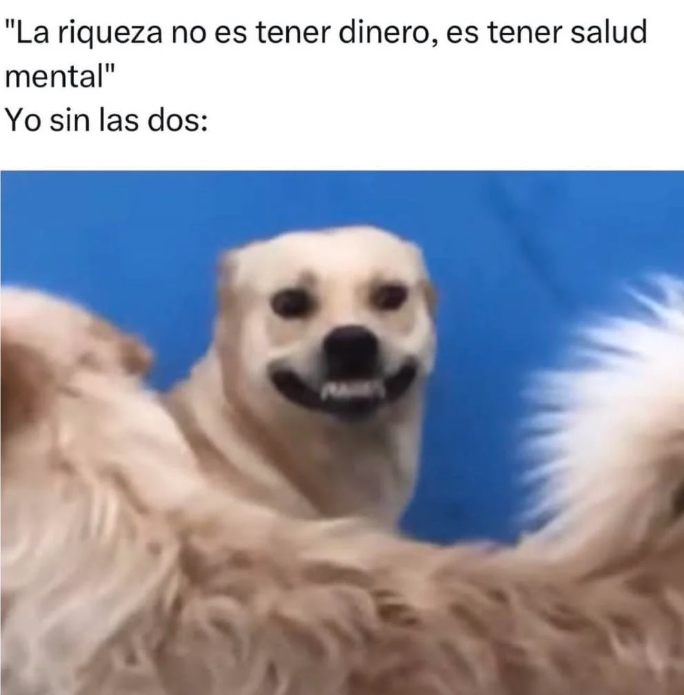 Un meme con texto que dice 'La riqueza no es tener dinero, es tener salud mental' y 'Yo sin las dos:', junto a un perro sonriendo forzadamen