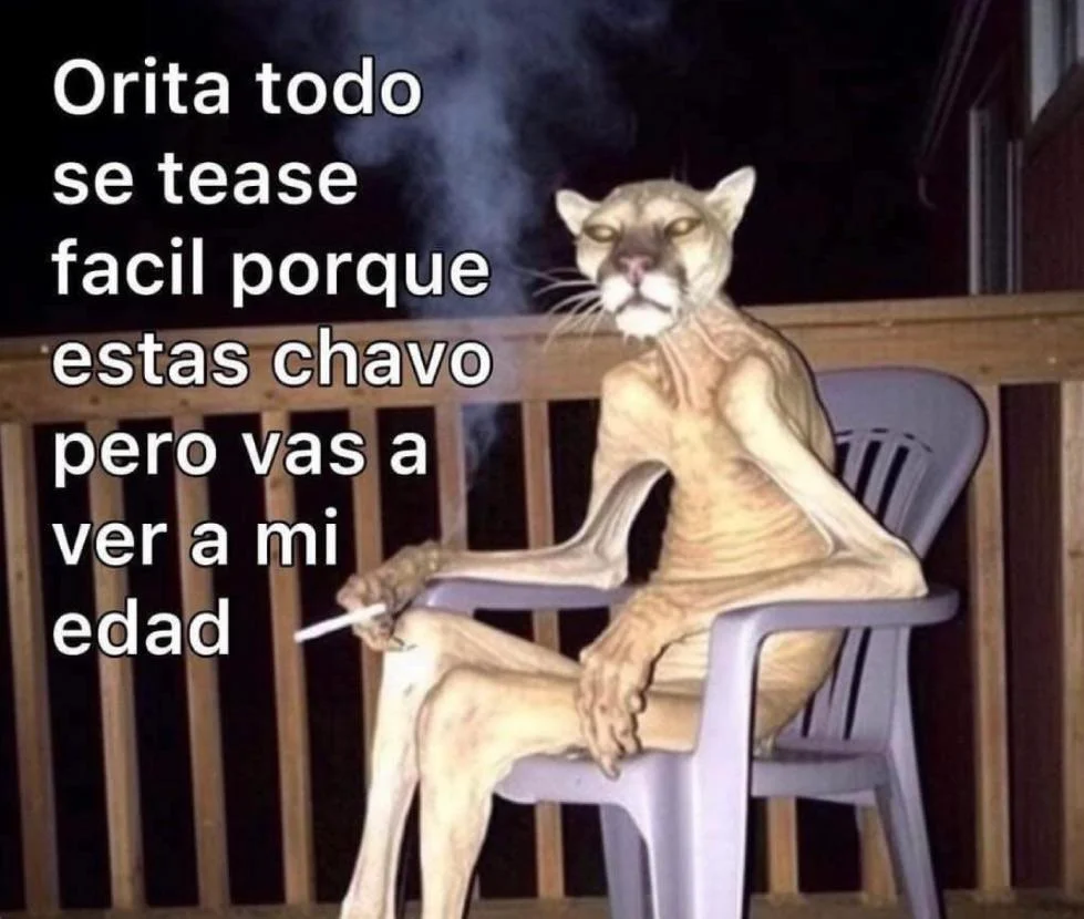 ¡Feliz viernes, xente! Memes para empezar el fin de semana