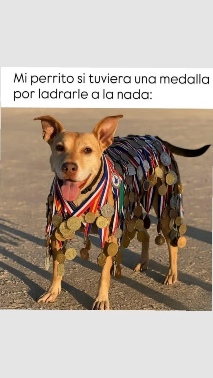 Nominado a los Grammy: El meme que conquistó el internet