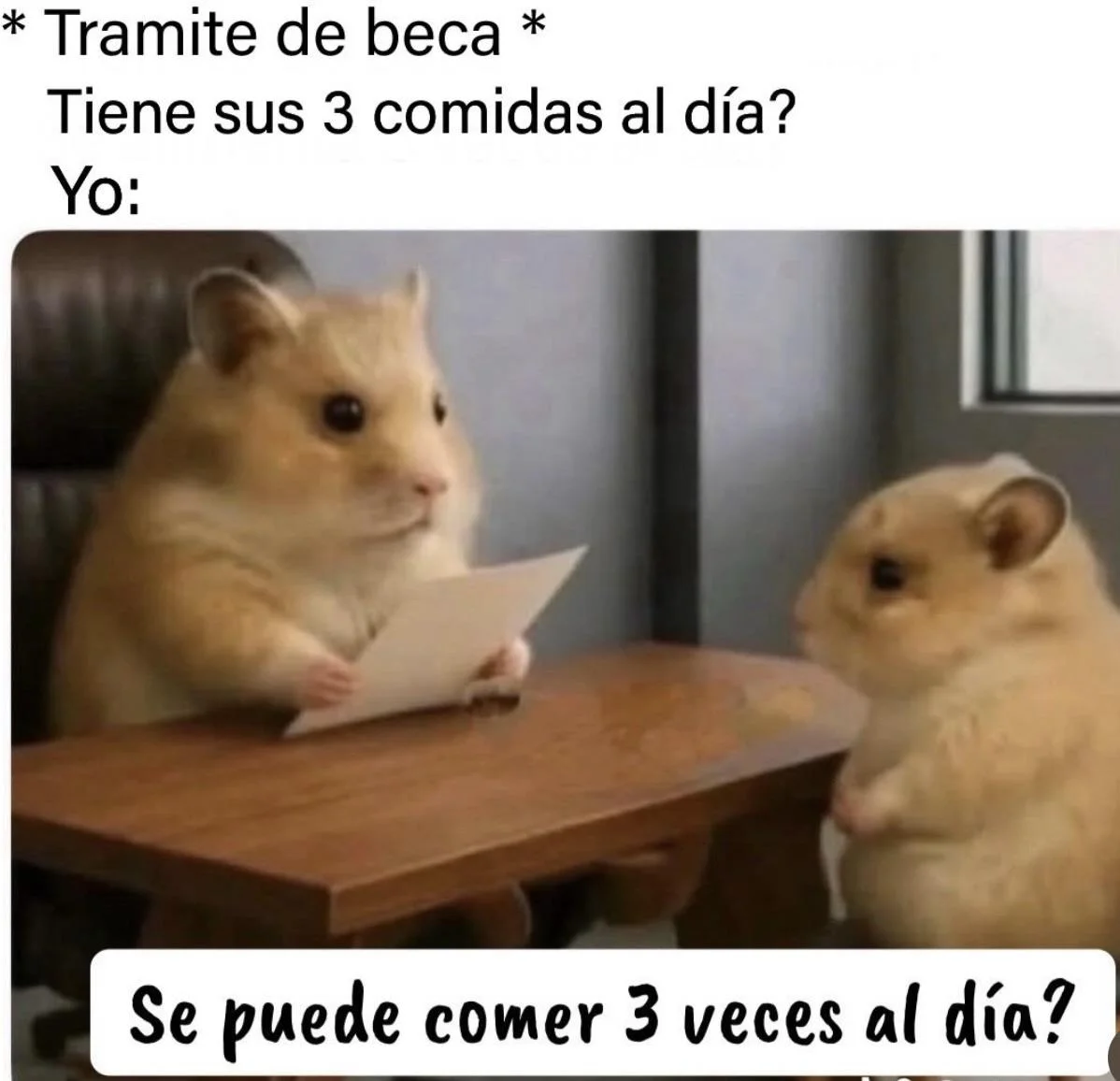 Feliz domingo 🤭