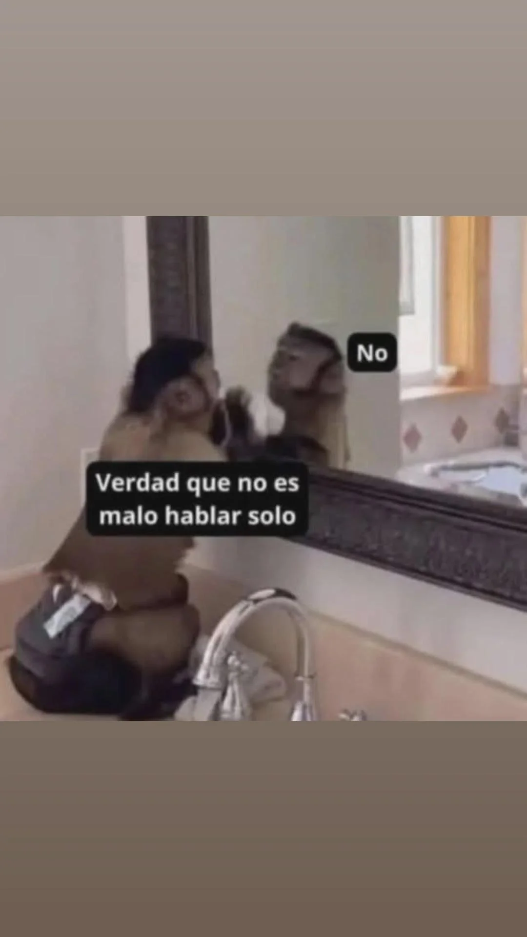 Si o no?