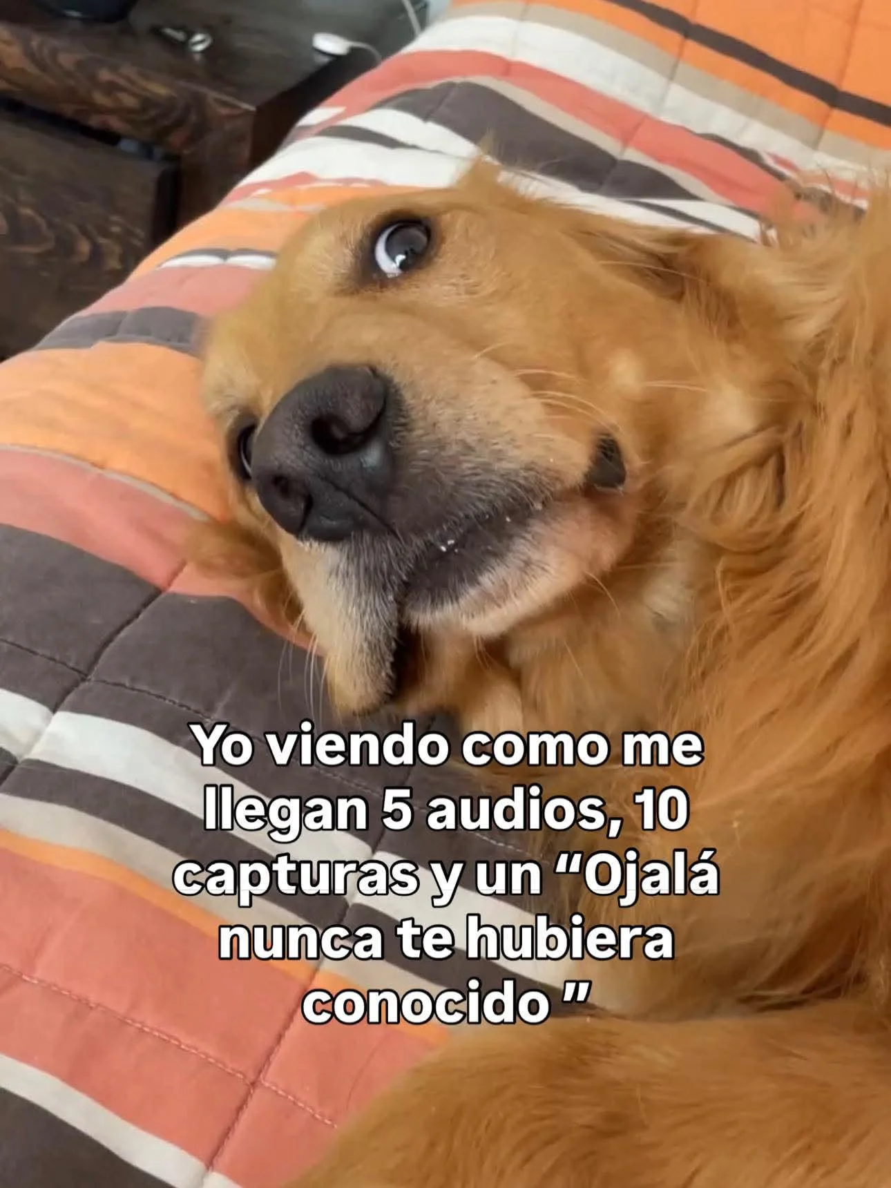 Ay no 🤦🏽‍♀️