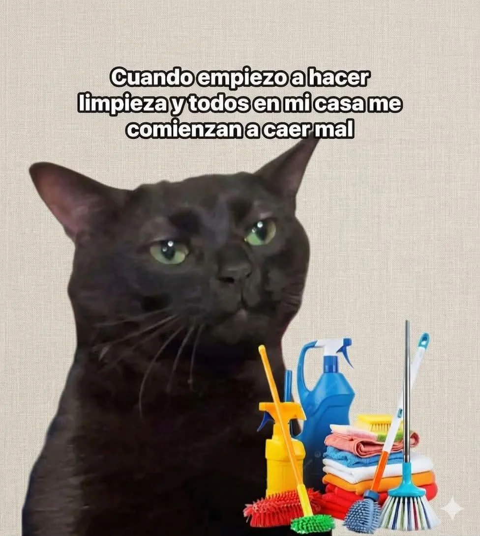 Quien más se identifica con la cara del gatito 🫩