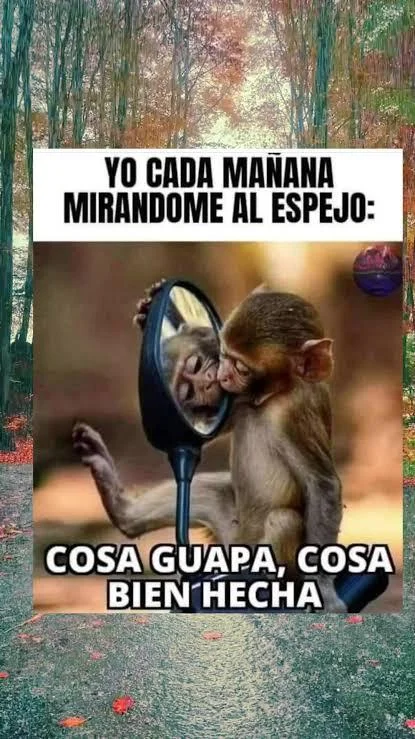 Los memes más divertidos de México y Latam