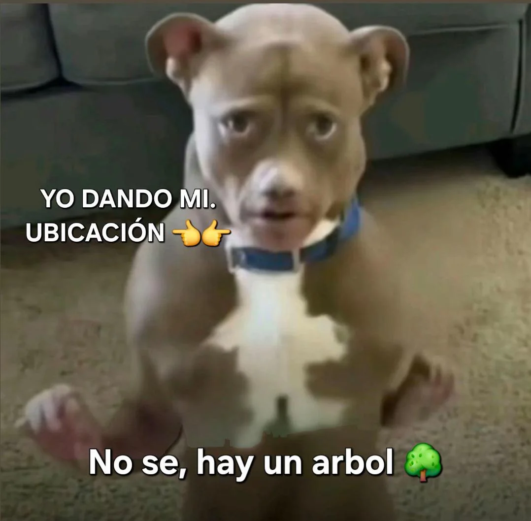 El meme de la vida: Nunca supe cómo hacerlo