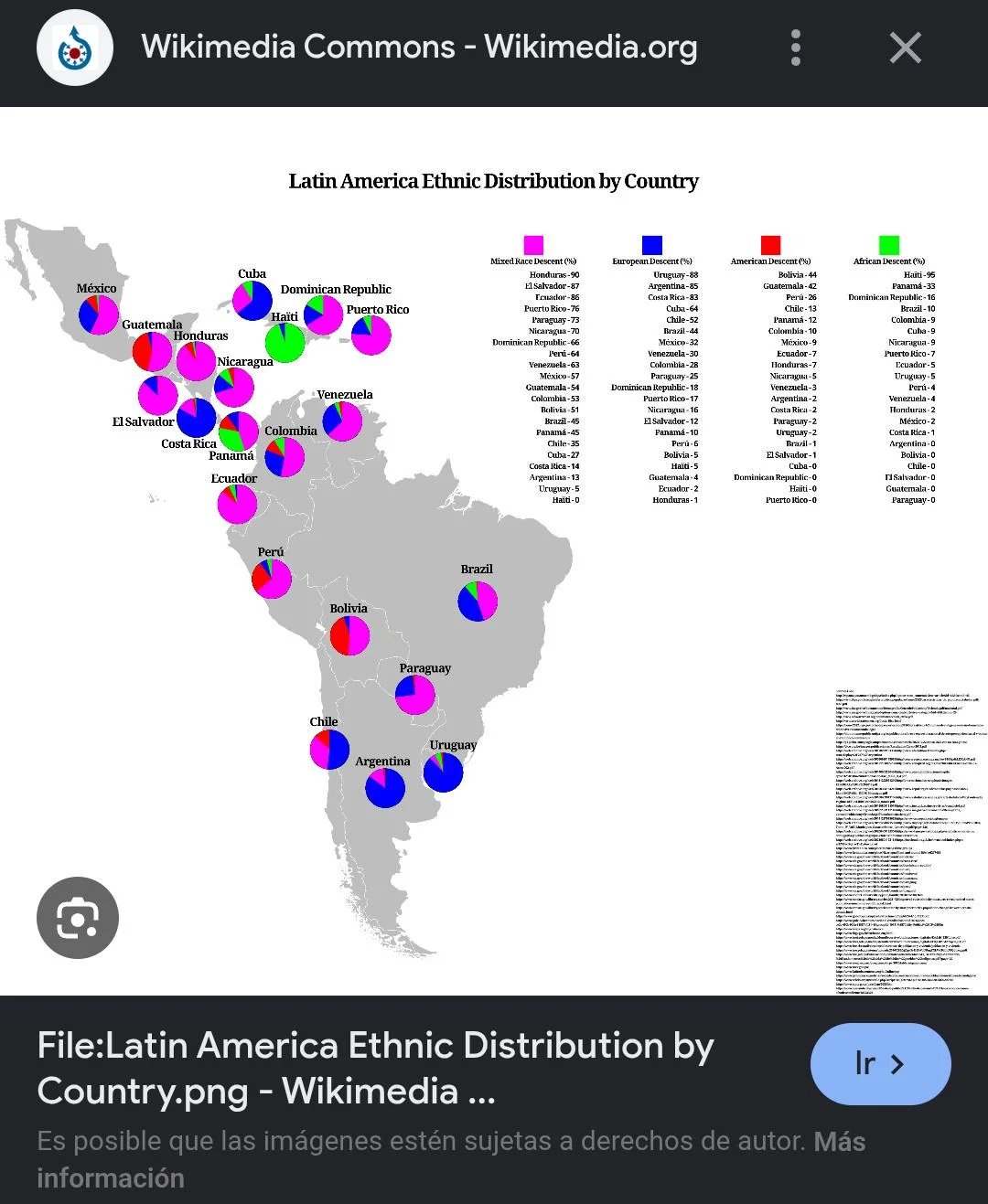 Mapa étnico de Latinoamérica: ¿Qué porcentaje tiene cada país?