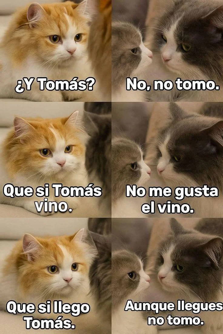 Siempre vino jajajaja