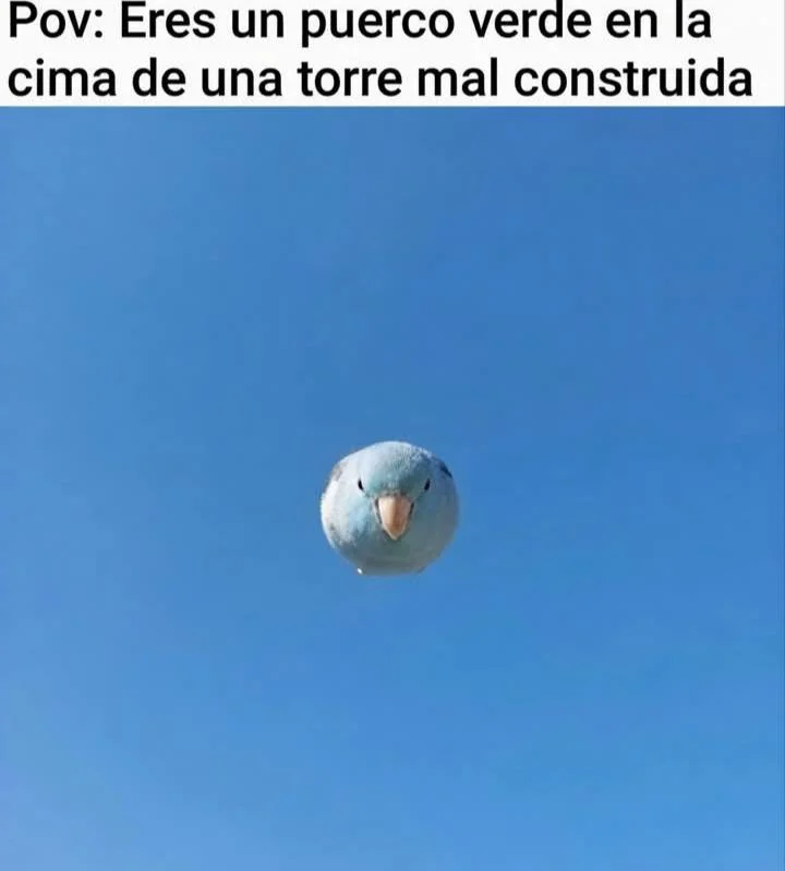 Memes de Referencias: ¿Entendiste la indirecta? 😂