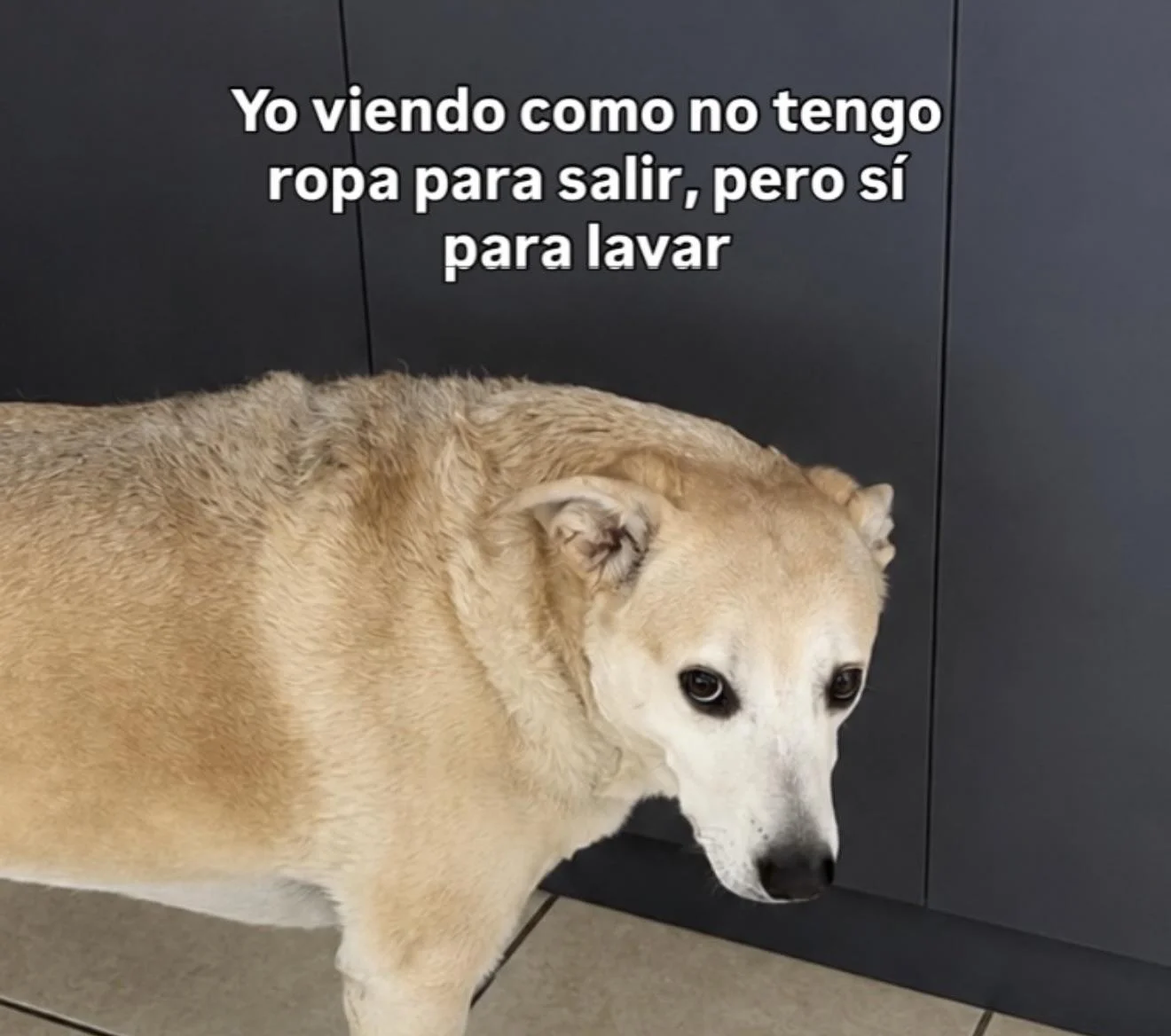 No tengo nada que ponerme