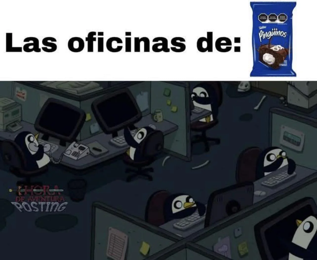Memes de Pingüinos: Los más graciosos de México y Latam