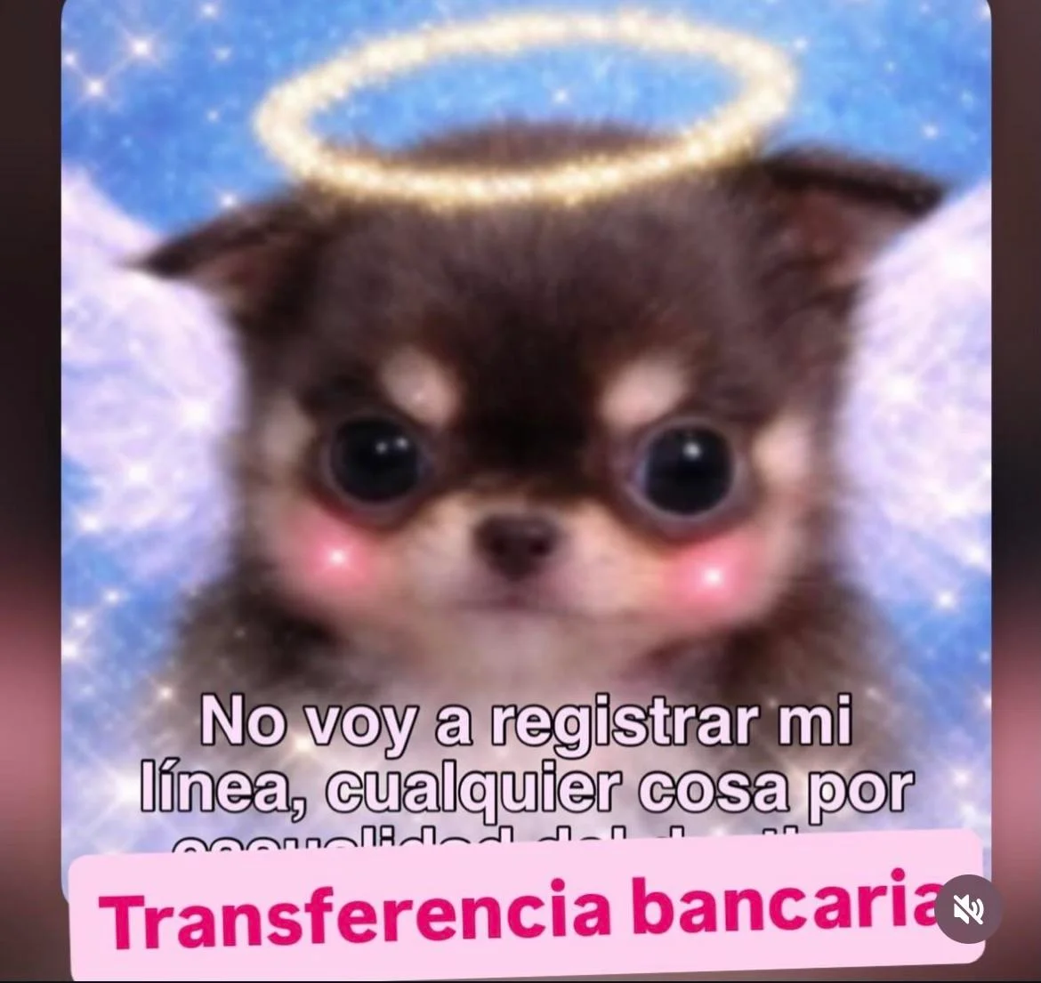 Memes de Jueves: La Segunda Dosis de Risas para el Fin de Semana