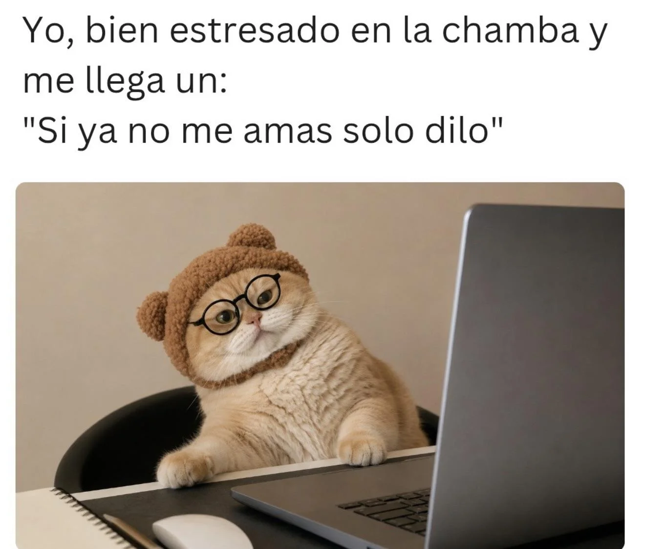Ay nooo: Memes virales que te harán decir '¡qué oso!'