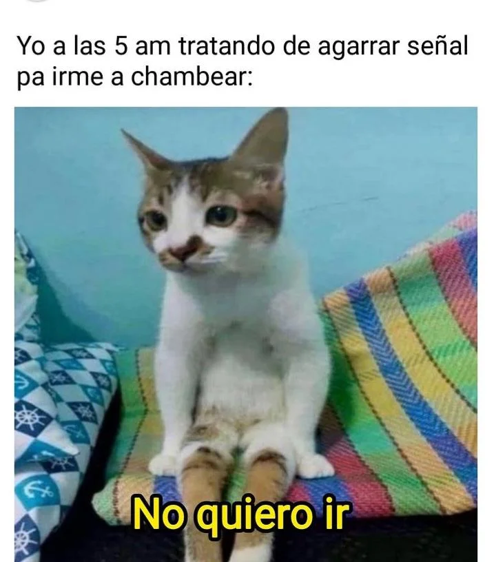 Cuando el tráfico te hace llegar tarde: ¡Todos los días! 🤣🤣🤣