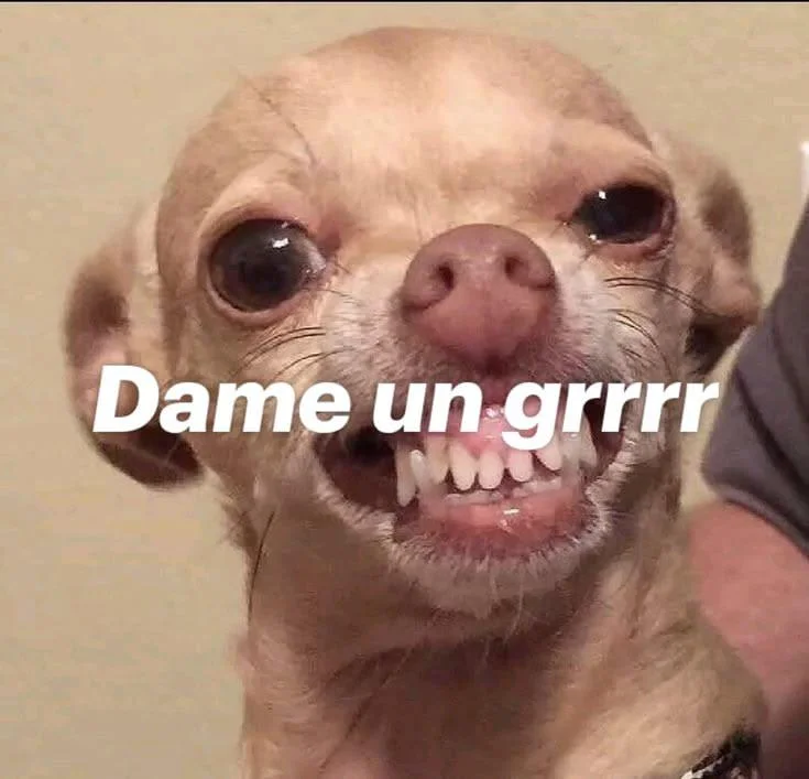Memes para reír a carcajadas: ¡Dame un 😂😂😂😂!