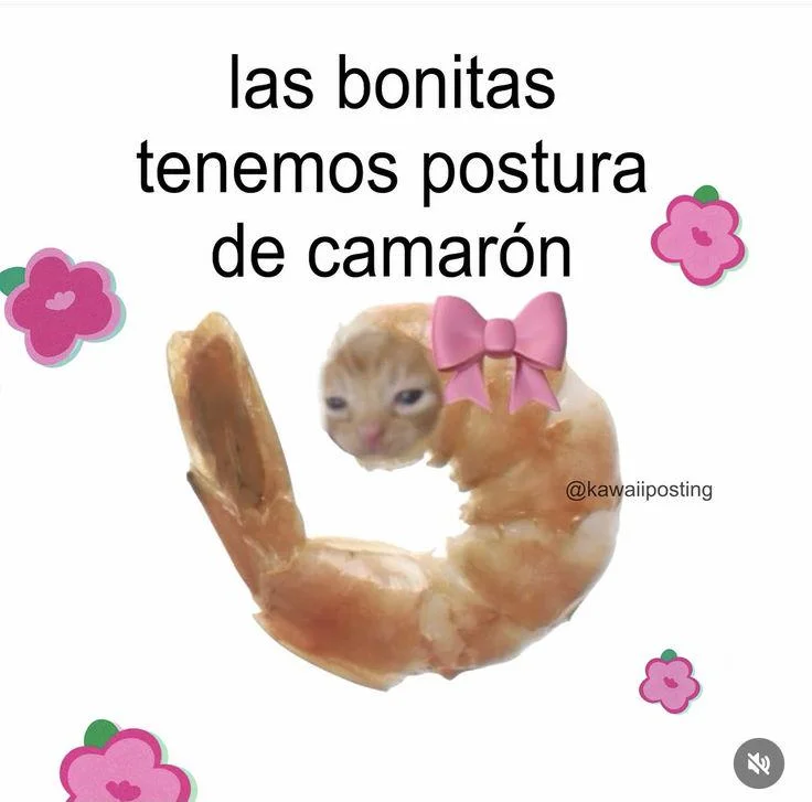 El meme del punto: ¿Qué significa y de dónde salió?