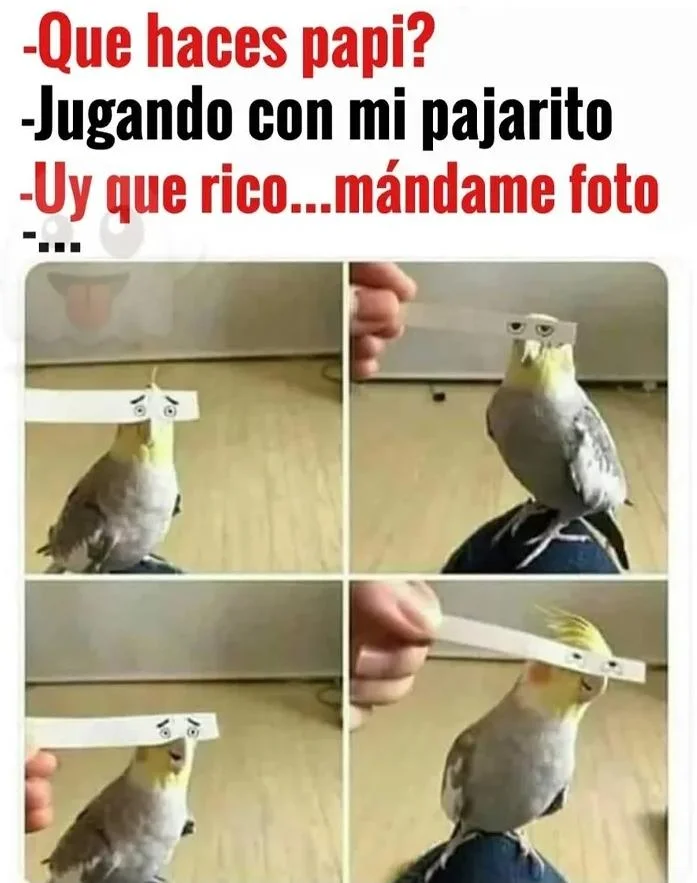 Jajaja: Los memes más graciosos para reír sin parar