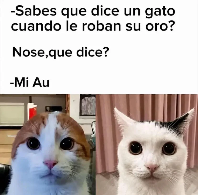 XD: Los memes más graciosos y virales de México y Latam