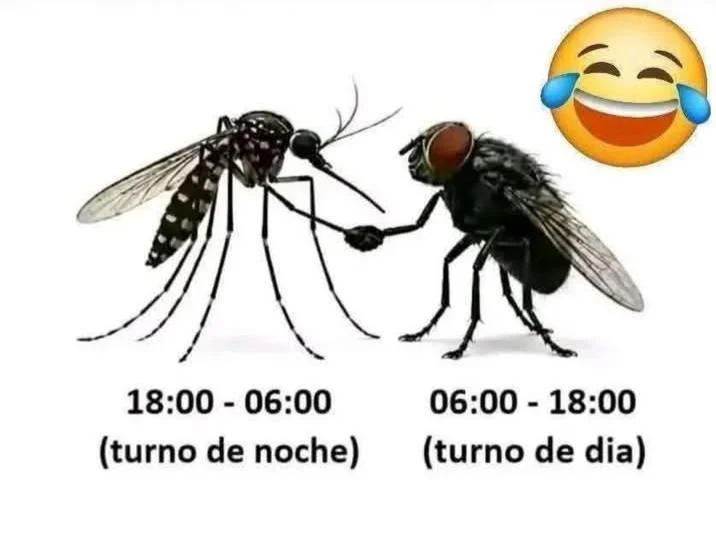 Memes de cosas peores: ¡cuando la realidad supera la ficción!