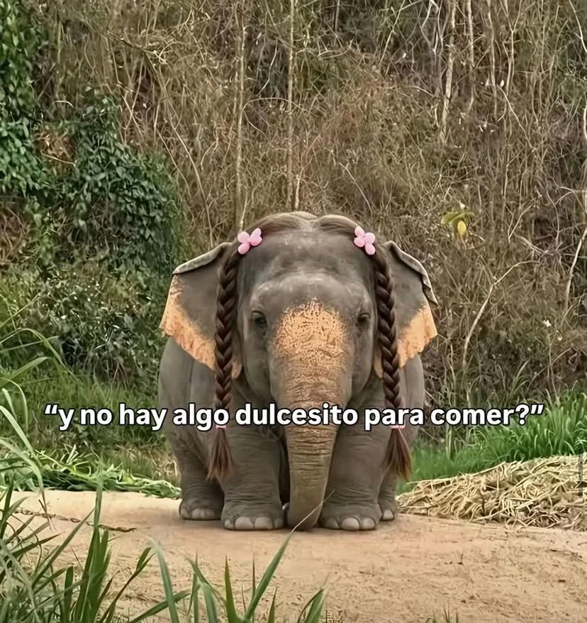 Yo después de almorzar