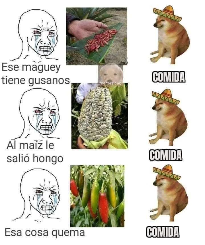 Memes de gastronomía mexicana: ¡Pura comedia culinaria!