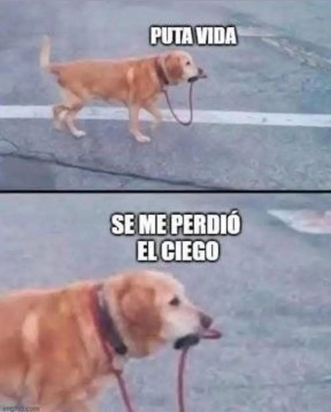 Y ahora 😅🤣🤣