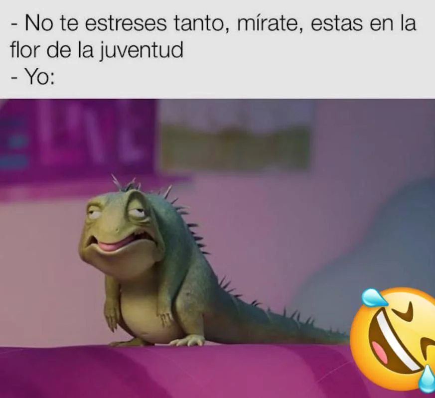 Memes graciosos que te harán reír a carcajadas (¡Garantizado!)