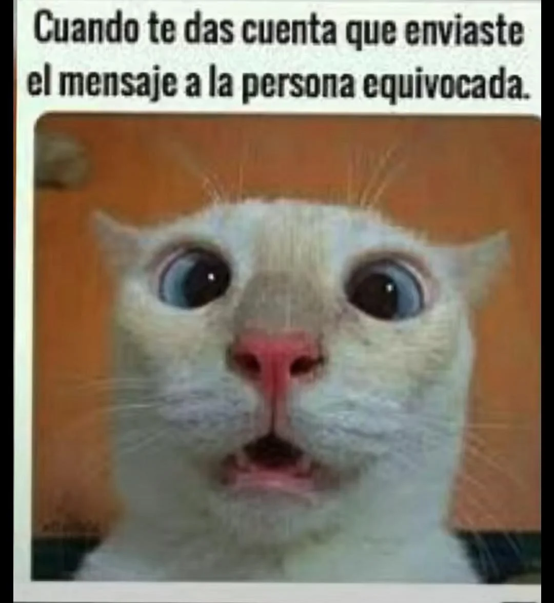 Cuando el meme te describe: ¡Ahora soy esto!