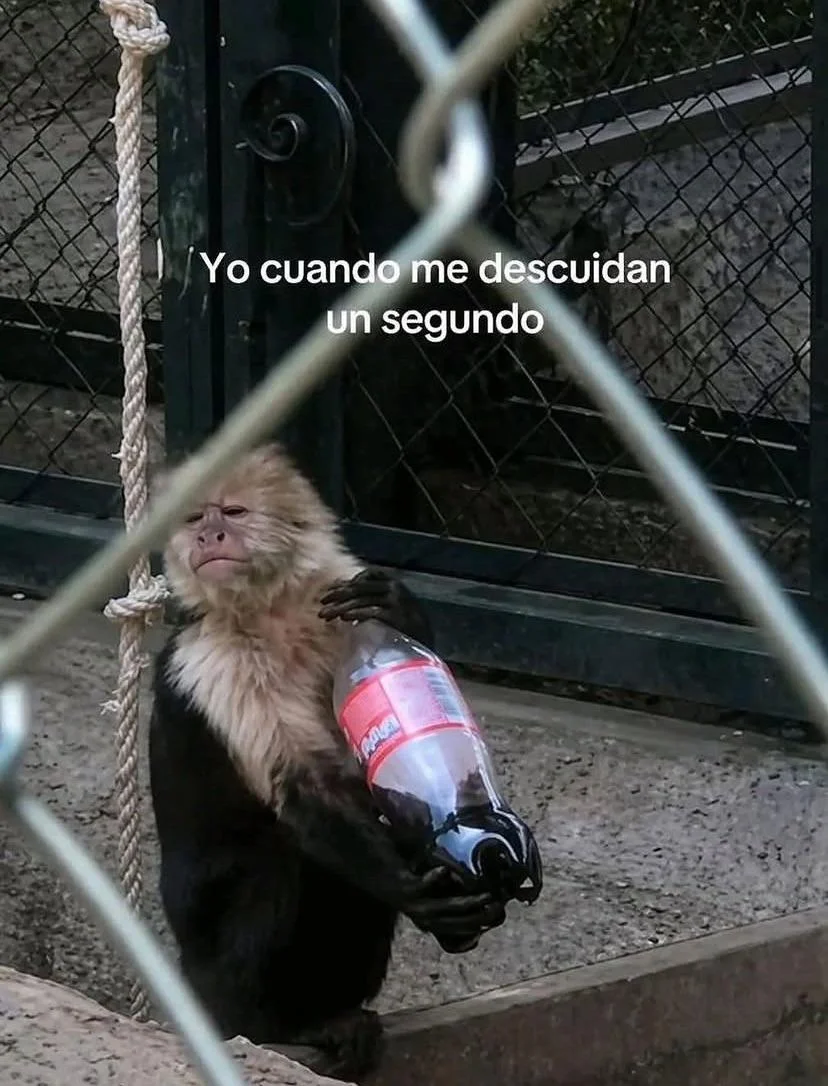 jajaja alguien más?