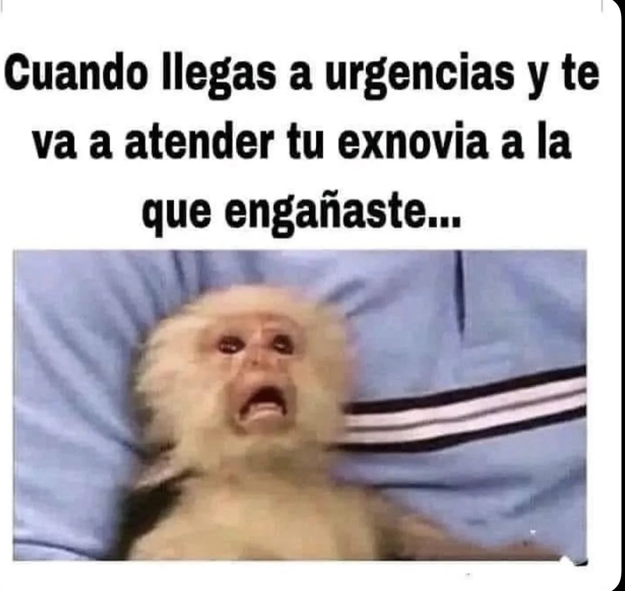 ¡Ijuesuuu! Los memes más virales que te harán reír a carcajadas