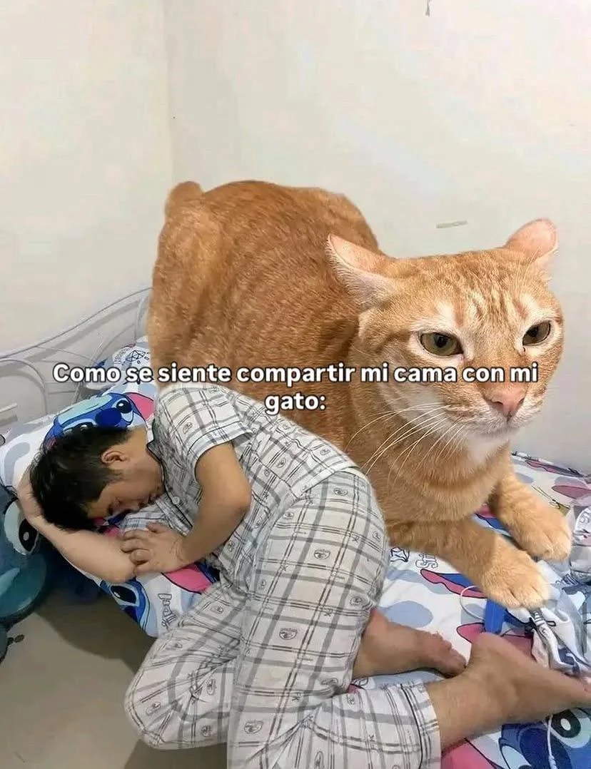 Cuando te das cuenta que es cierto: ¡el meme definitivo!