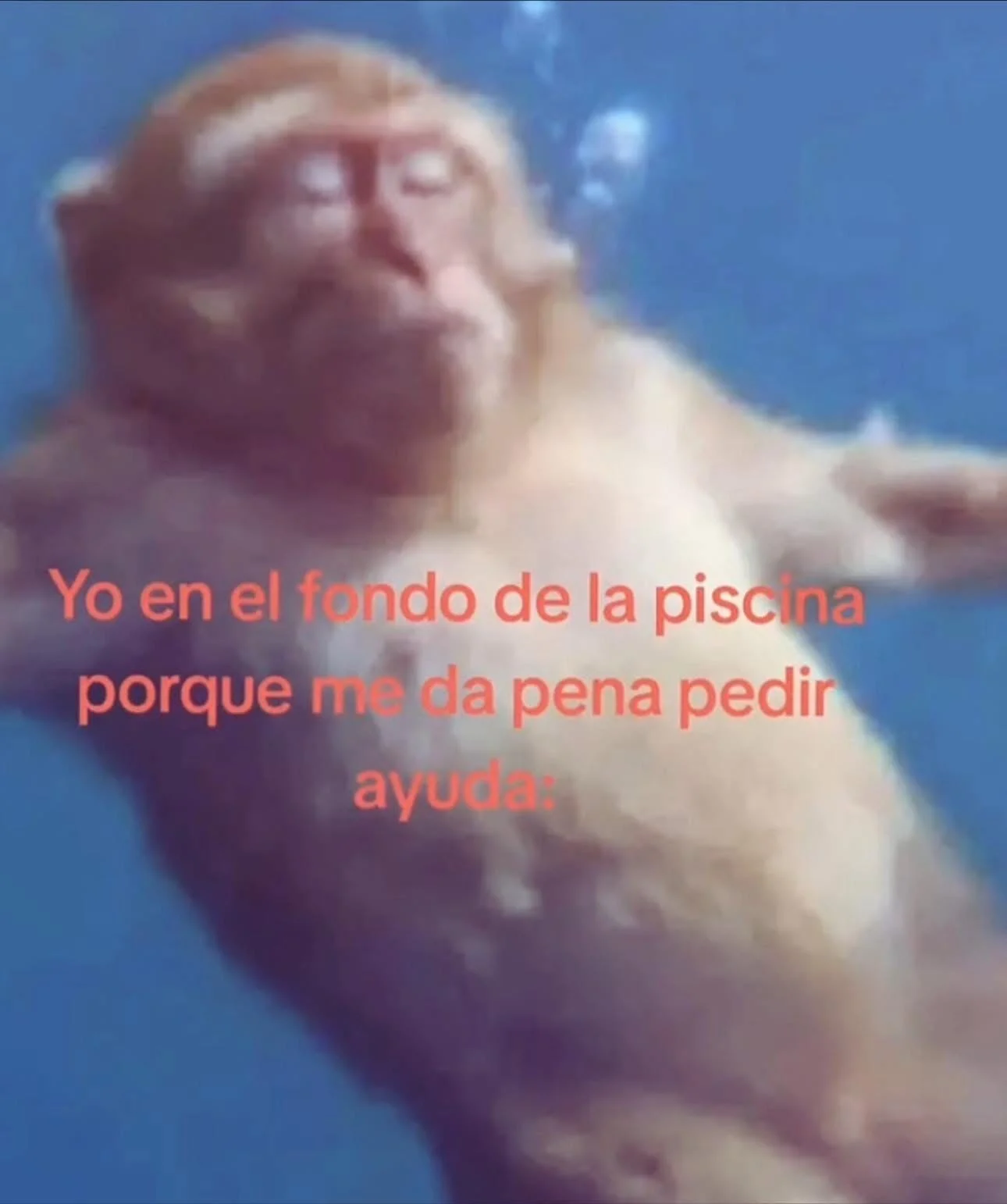 Cuando te da tímido: ¡El meme que todos entendemos!