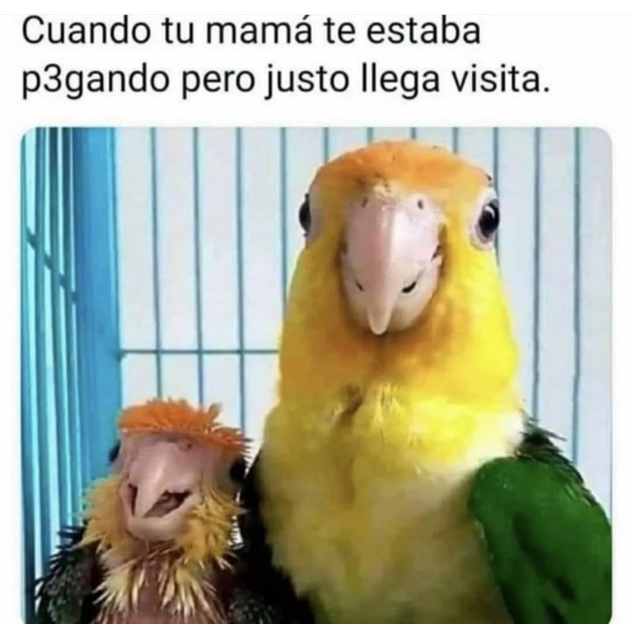 Me la aplicaron, ahora yo la aplico: ¡el meme de la venganza!
