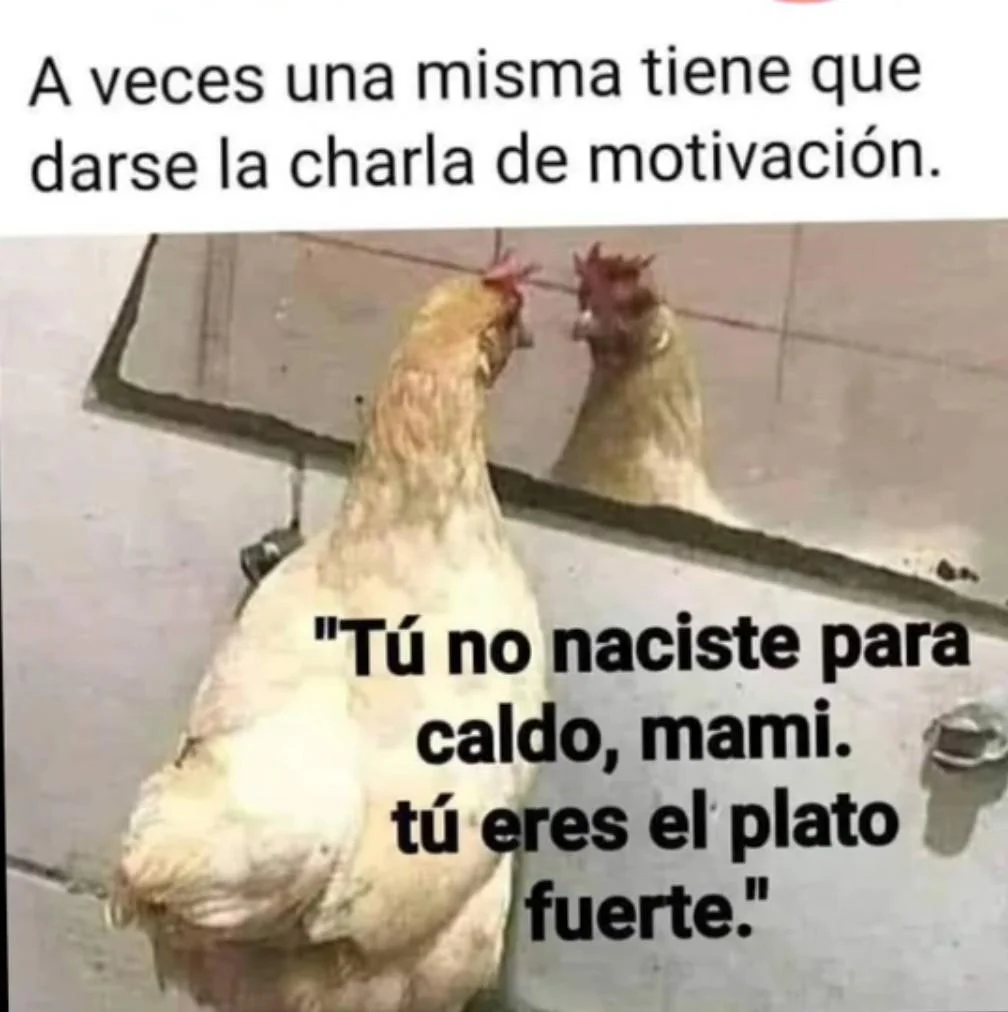 Alabate pollo... Jajajajaja