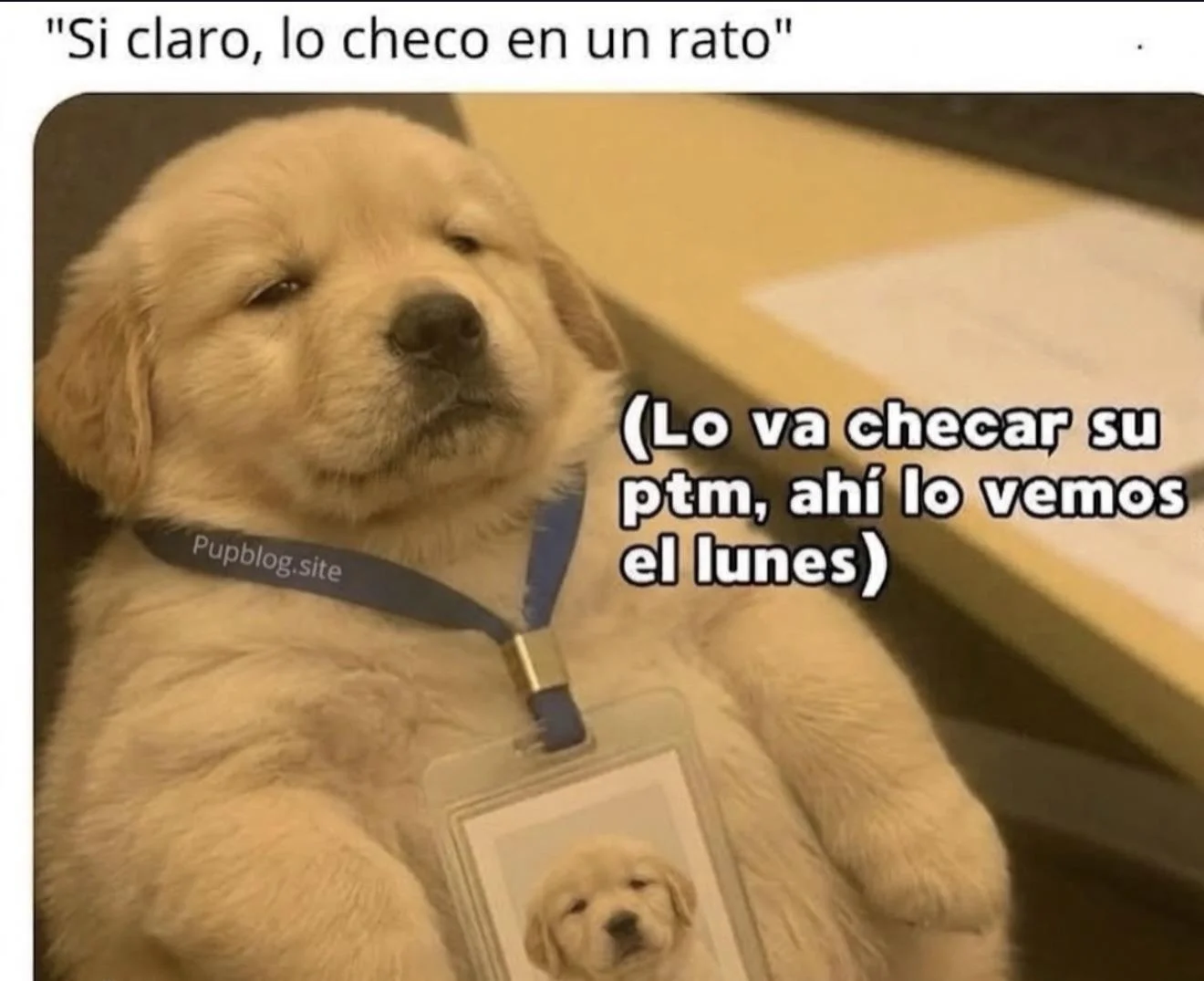 Menos mal es viernes 🤭
