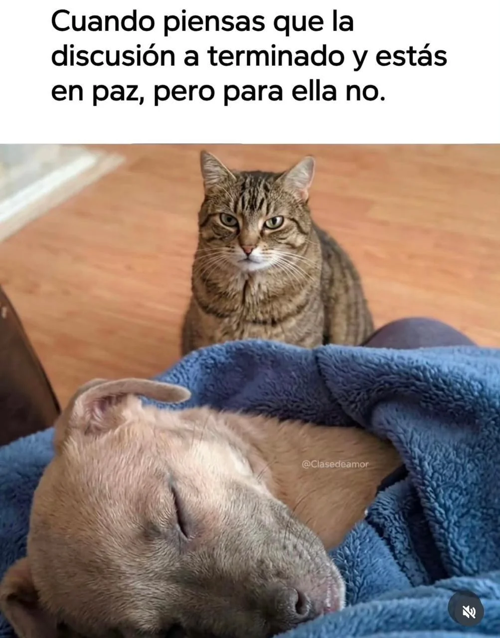 El coraje que nos da, ¿apoco no? Memes de enojo y frustración