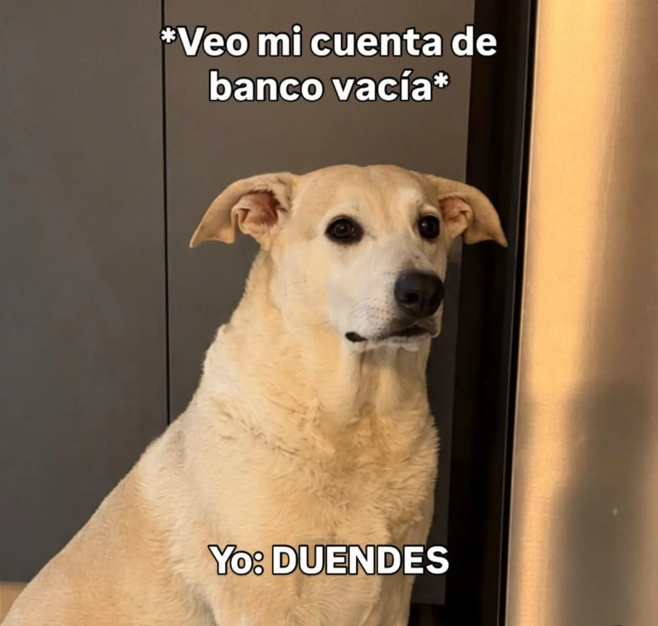 🥴