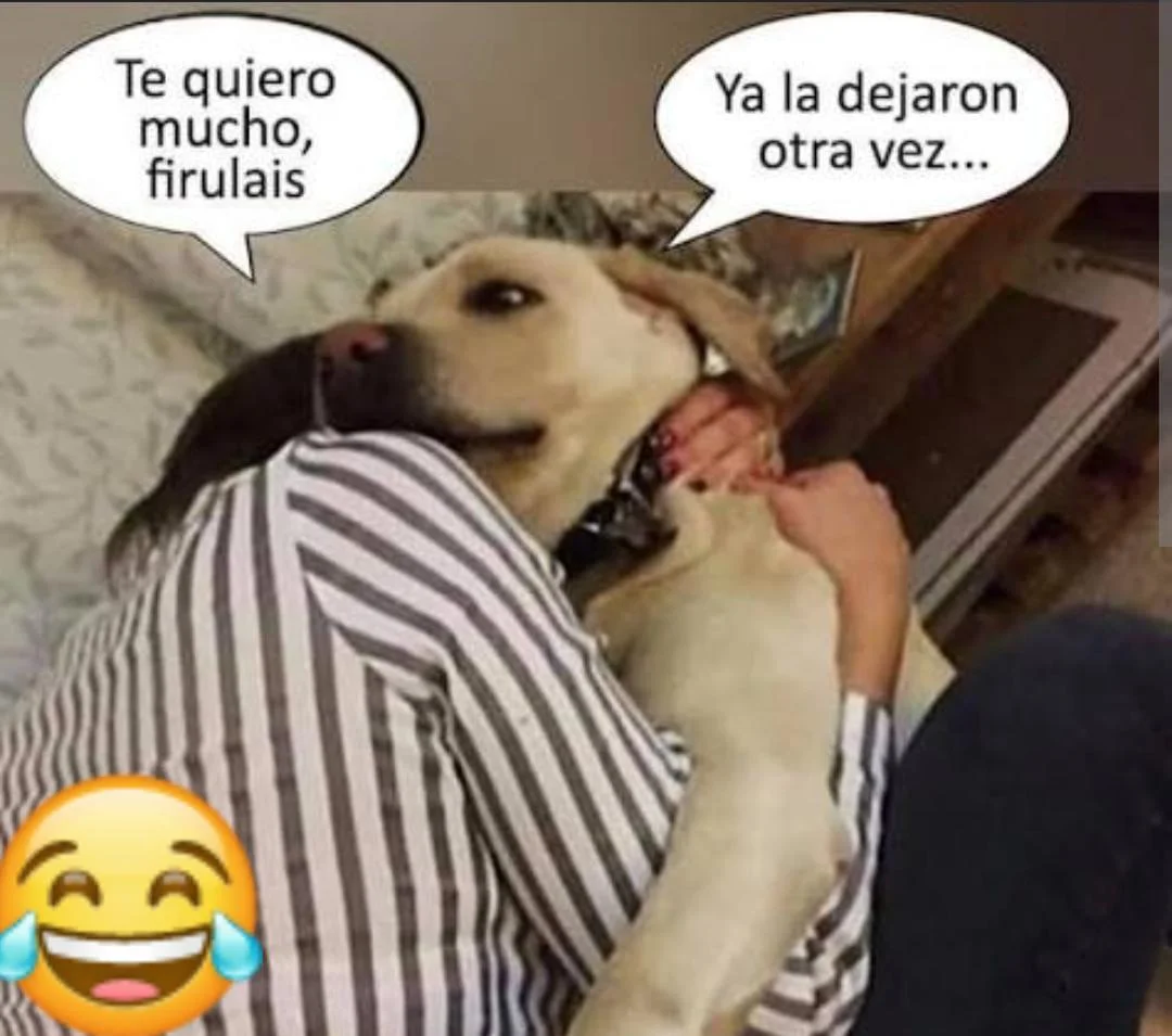 🤣🤣🤣otra vez