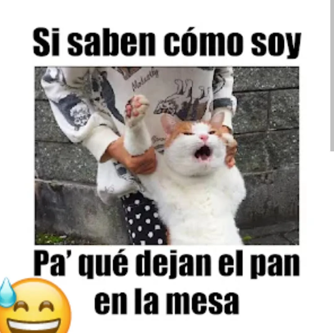 Por qué son así 🤣🤣