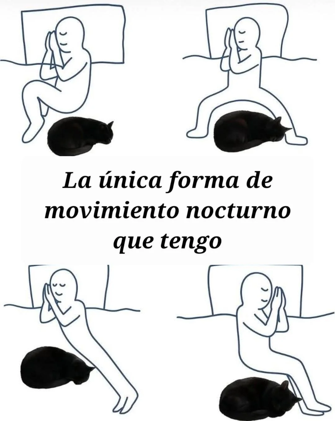 Sí